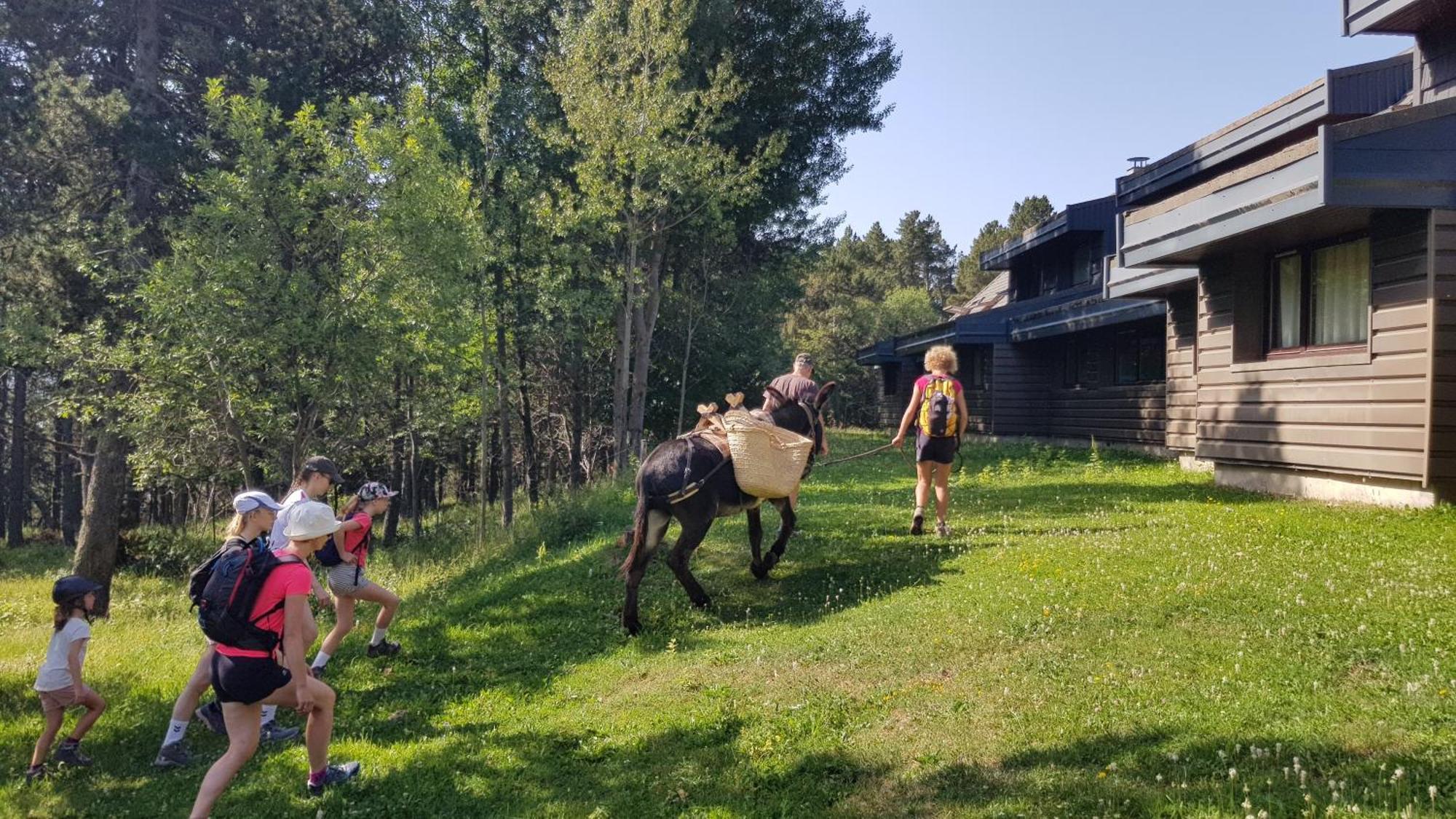 Le Chalet Du Ticou Bolquere Pyrenees 2000 Exteriör bild